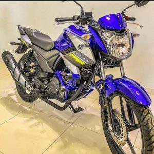 Stunt Cage Fz25 Fazer 250 2018 EM DIANTE. – Stunt Race Brasil